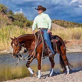 Training Your Trail Horse